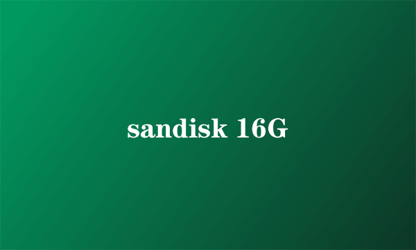 sandisk 16G