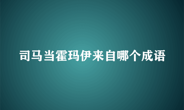 司马当霍玛伊来自哪个成语