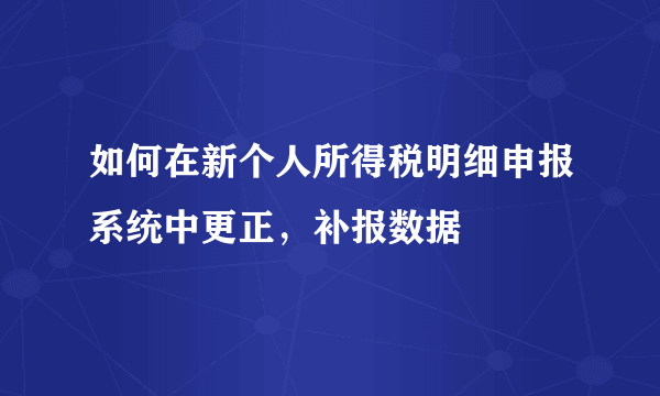 如何在新个人所得税明细申报系统中更正，补报数据