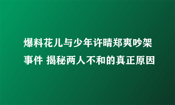 爆料花儿与少年许晴郑爽吵架事件 揭秘两人不和的真正原因