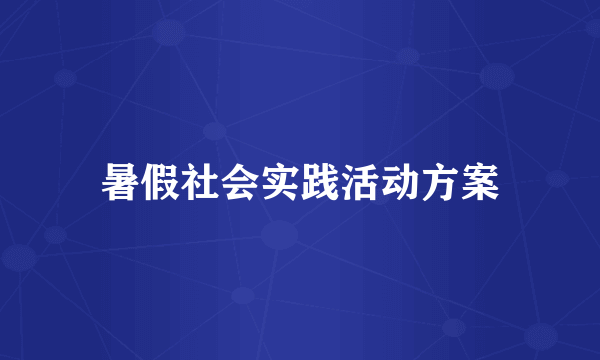 暑假社会实践活动方案