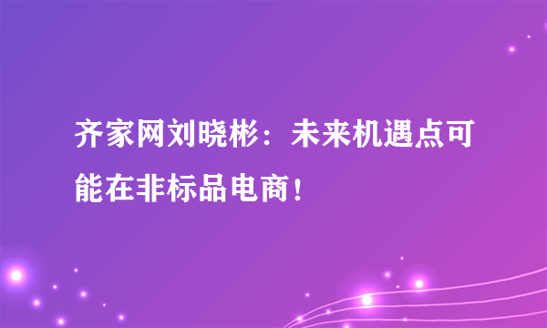 齐家网刘晓彬：未来机遇点可能在非标品电商！