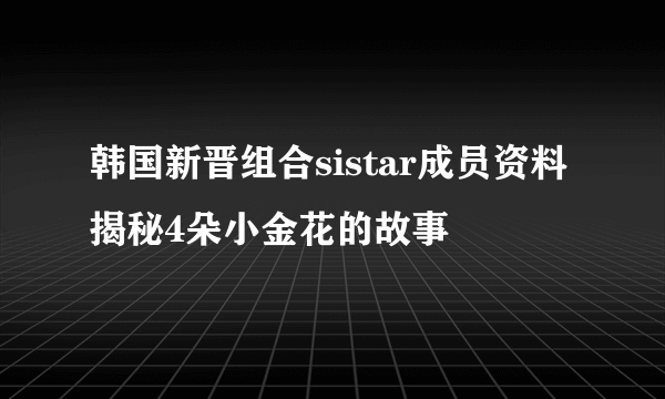 韩国新晋组合sistar成员资料揭秘4朵小金花的故事