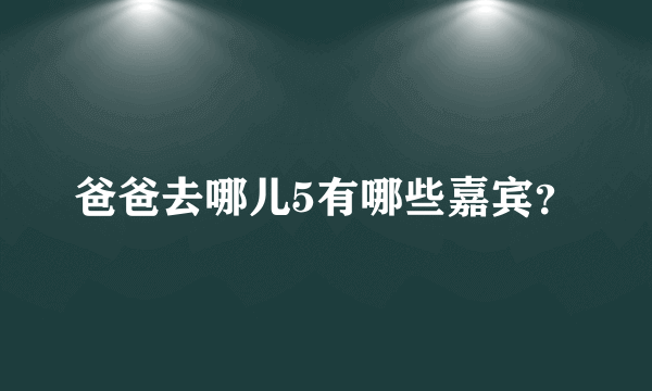 爸爸去哪儿5有哪些嘉宾？