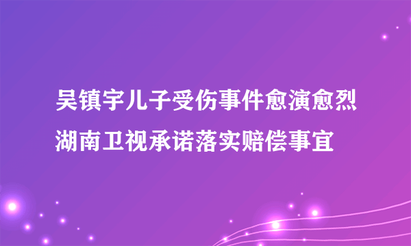 吴镇宇儿子受伤事件愈演愈烈湖南卫视承诺落实赔偿事宜