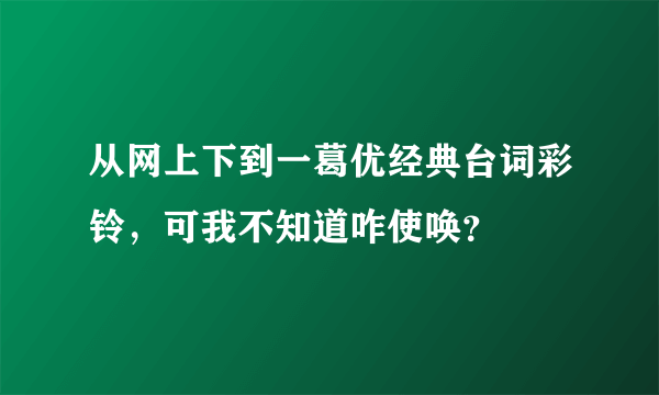 从网上下到一葛优经典台词彩铃，可我不知道咋使唤？