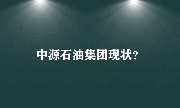 中源石油集团现状？