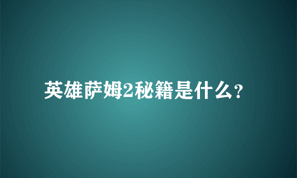 英雄萨姆2秘籍是什么？