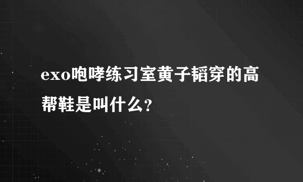 exo咆哮练习室黄子韬穿的高帮鞋是叫什么？