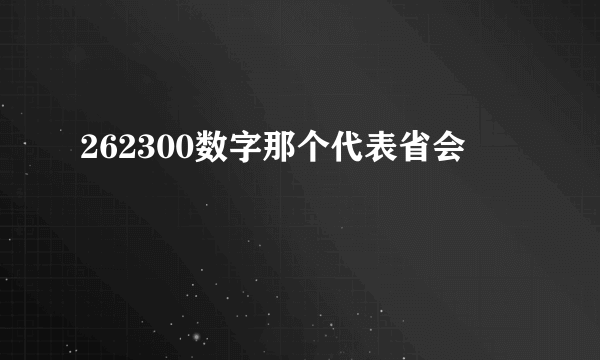 262300数字那个代表省会