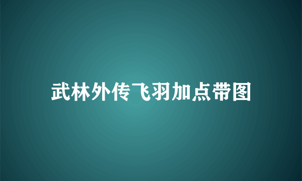 武林外传飞羽加点带图