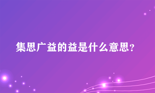 集思广益的益是什么意思？