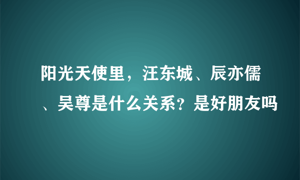 阳光天使里，汪东城、辰亦儒、吴尊是什么关系？是好朋友吗