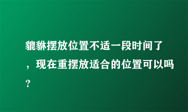 貔貅摆放位置不适一段时间了，现在重摆放适合的位置可以吗？