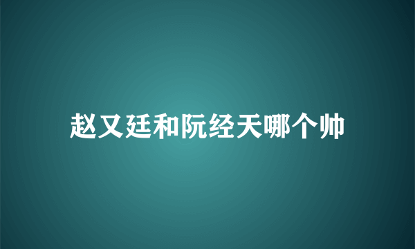 赵又廷和阮经天哪个帅