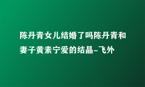 陈丹青女儿结婚了吗陈丹青和妻子黄素宁爱的结晶-飞外