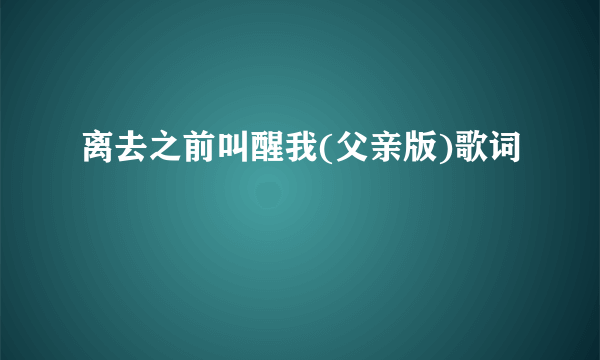 离去之前叫醒我(父亲版)歌词