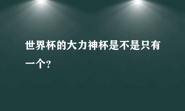 世界杯的大力神杯是不是只有一个？