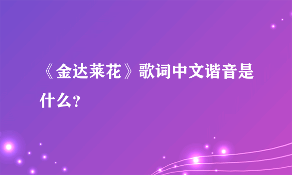 《金达莱花》歌词中文谐音是什么？