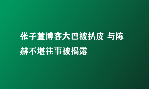 张子萱博客大巴被扒皮 与陈赫不堪往事被揭露