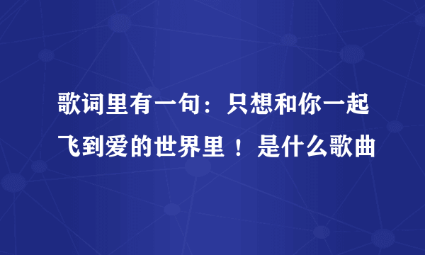 歌词里有一句：只想和你一起飞到爱的世界里 ！是什么歌曲