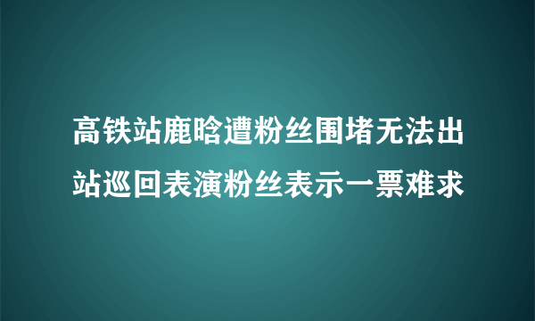 高铁站鹿晗遭粉丝围堵无法出站巡回表演粉丝表示一票难求