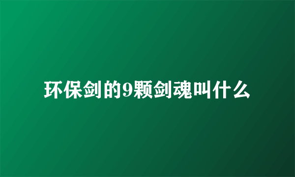 环保剑的9颗剑魂叫什么