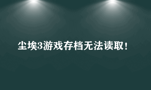 尘埃3游戏存档无法读取！