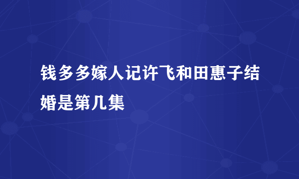 钱多多嫁人记许飞和田惠子结婚是第几集