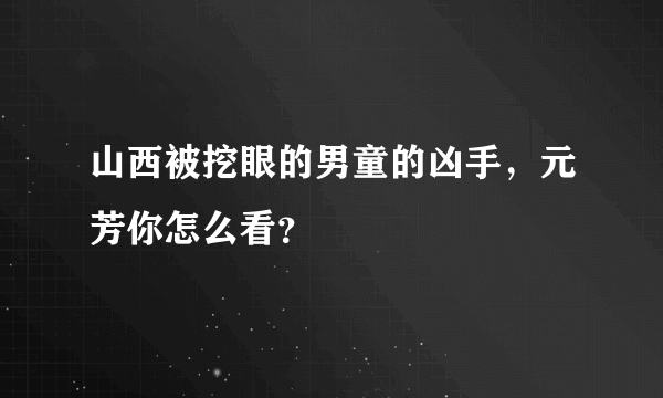 山西被挖眼的男童的凶手，元芳你怎么看？