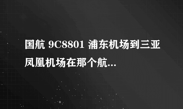 国航 9C8801 浦东机场到三亚凤凰机场在那个航站楼啊，，