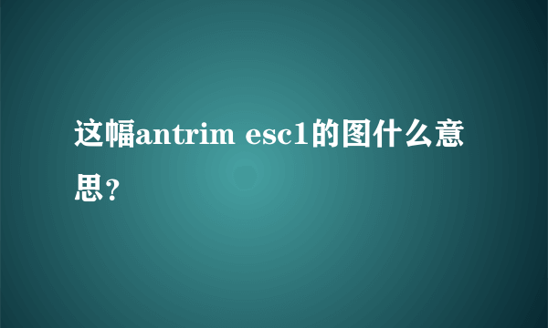 这幅antrim esc1的图什么意思？