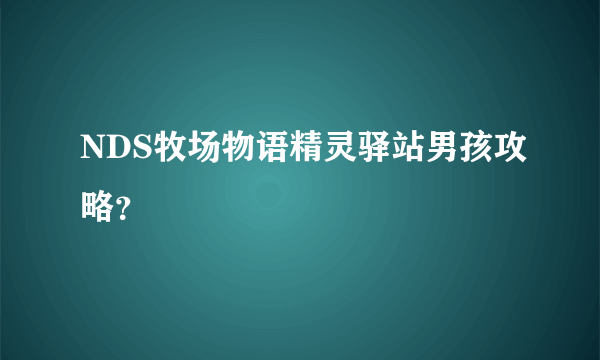 NDS牧场物语精灵驿站男孩攻略？