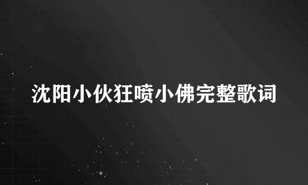 沈阳小伙狂喷小佛完整歌词