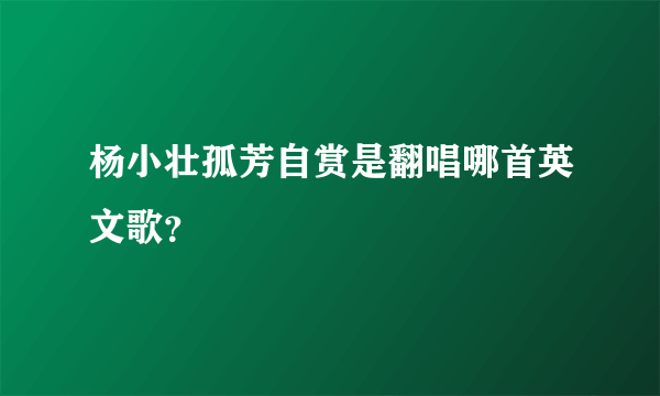 杨小壮孤芳自赏是翻唱哪首英文歌？