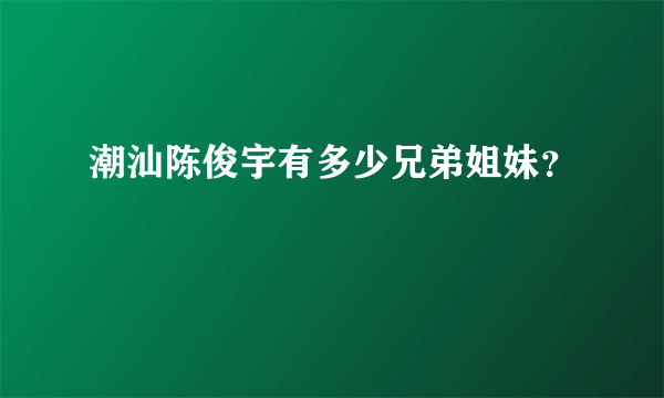 潮汕陈俊宇有多少兄弟姐妹？