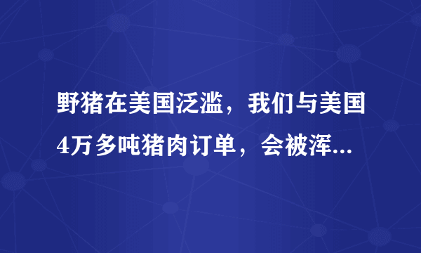 野猪在美国泛滥，我们与美国4万多吨猪肉订单，会被浑水摸鱼吗？