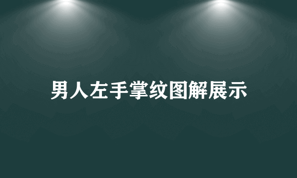 男人左手掌纹图解展示