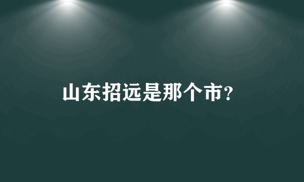 山东招远是那个市？