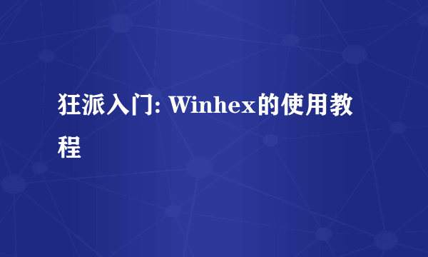 狂派入门: Winhex的使用教程