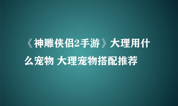 《神雕侠侣2手游》大理用什么宠物 大理宠物搭配推荐