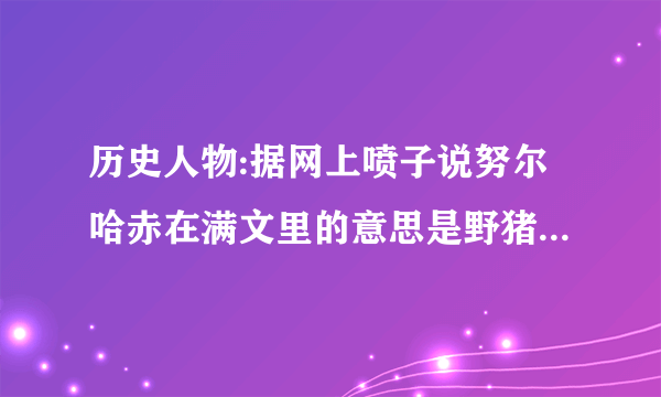 历史人物:据网上喷子说努尔哈赤在满文里的意思是野猪皮？多尔衮的满文意思是金熊、獾之类的？