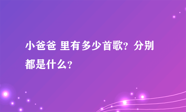 小爸爸 里有多少首歌？分别都是什么？