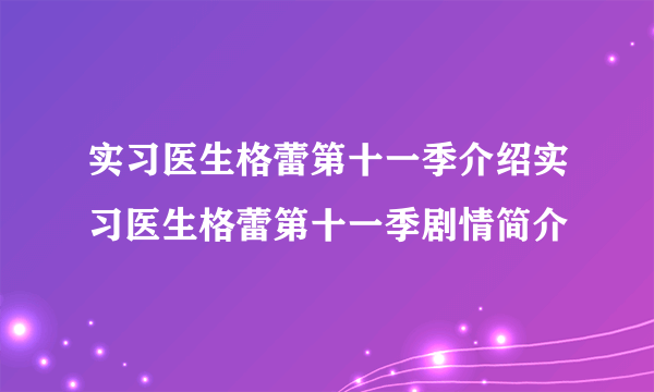 实习医生格蕾第十一季介绍实习医生格蕾第十一季剧情简介