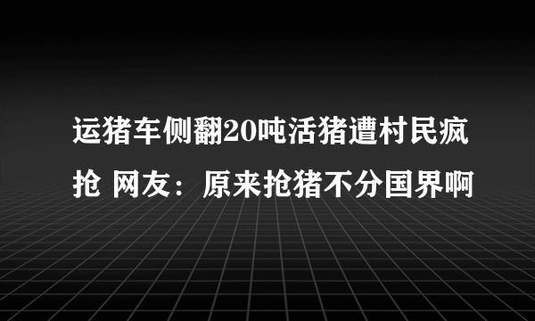 运猪车侧翻20吨活猪遭村民疯抢 网友：原来抢猪不分国界啊