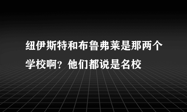 纽伊斯特和布鲁弗莱是那两个学校啊？他们都说是名校