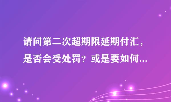 请问第二次超期限延期付汇，是否会受处罚？或是要如何处理第二次超期限延期付汇？