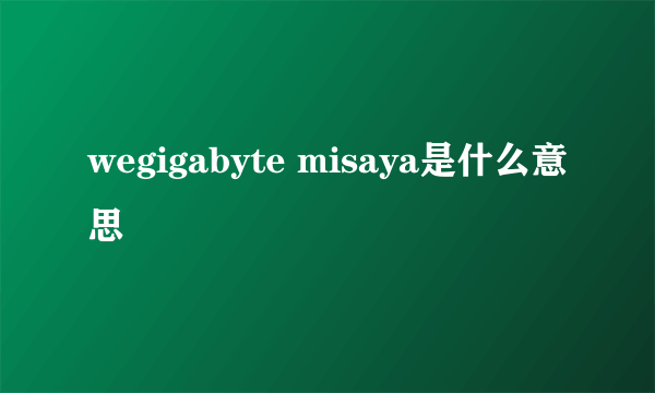 wegigabyte misaya是什么意思