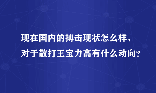 现在国内的搏击现状怎么样，对于散打王宝力高有什么动向？