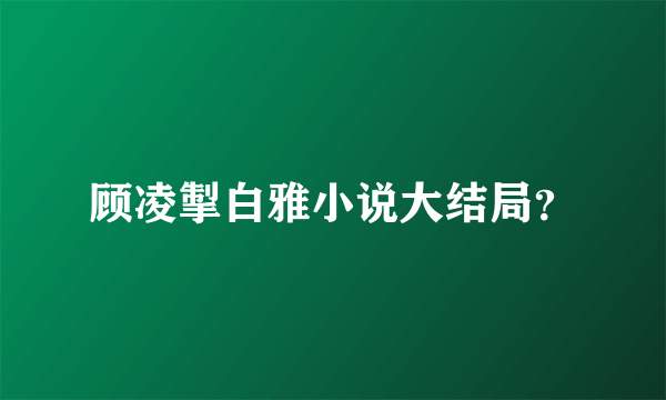 顾凌掣白雅小说大结局？